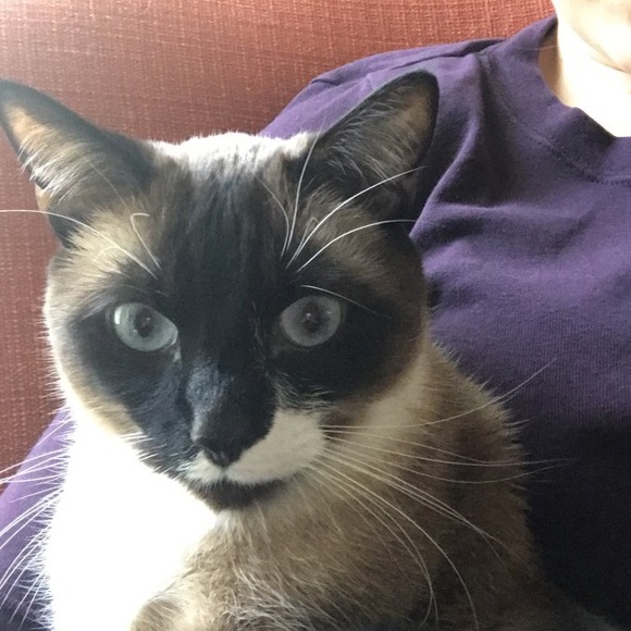 Meet your Posher, Hannah - Picture 1 of 1